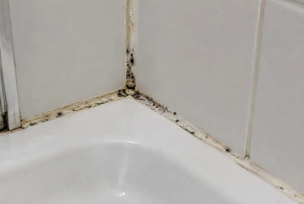 Kitbedrijf Waddinxveen – beschimmelde kitranden